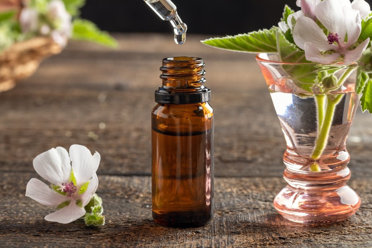 fleurs de bach liste et effet