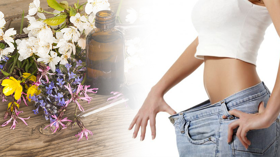 fleur de bach grignotage